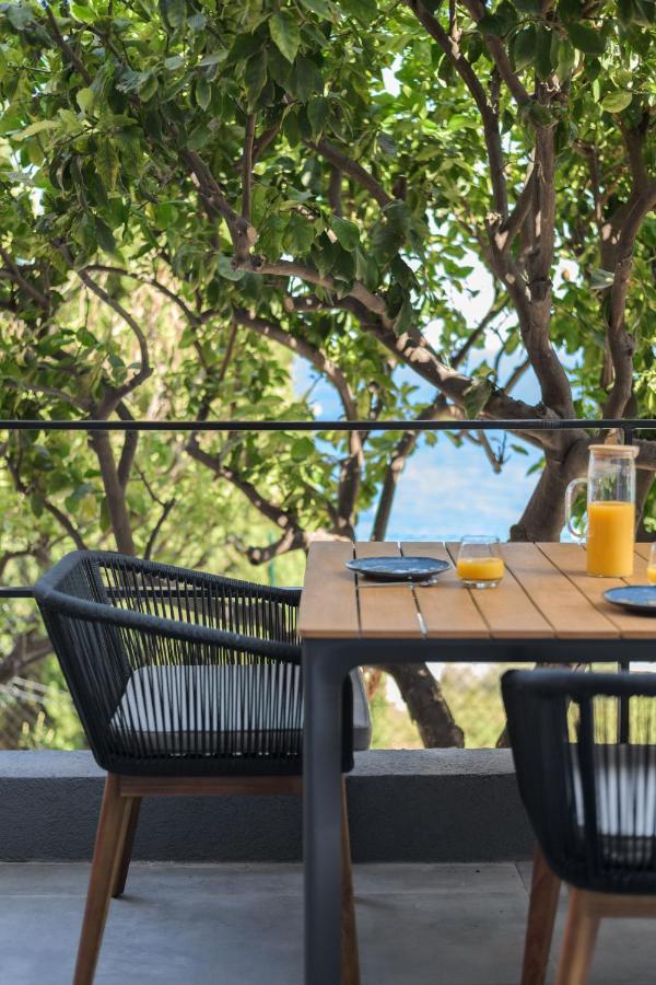 Proche Monaco, Vue Mer, Acces Plage Et Jardin Privatif Saint-Antoine  Kültér fotó