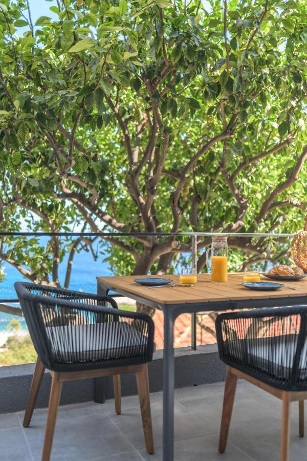 Proche Monaco, Vue Mer, Acces Plage Et Jardin Privatif Saint-Antoine  Kültér fotó